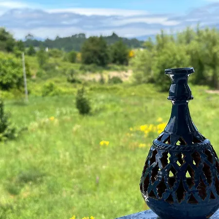 Casa La Oveja Negra, Con Piscina * Padrenda