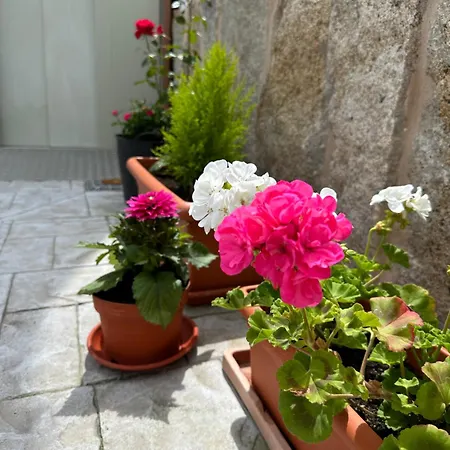 Casa La Oveja Negra, Con Piscina Tatil Evi *