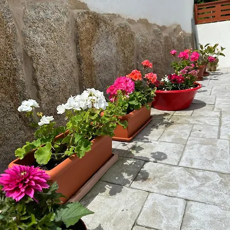 Tatil Evi Casa La Oveja Negra, Con Piscina